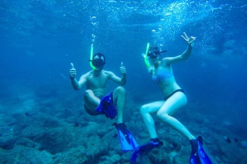 Puerto Vallarta Luxury Yacht Tour: Snorkeling, Open Bar and Lunch — photo 4