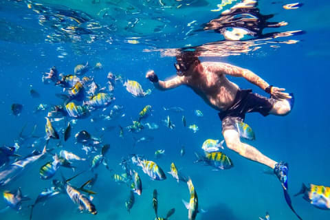 Puerto Vallarta Luxury Yacht Tour: Snorkeling, Open Bar and Lunch — photo 3