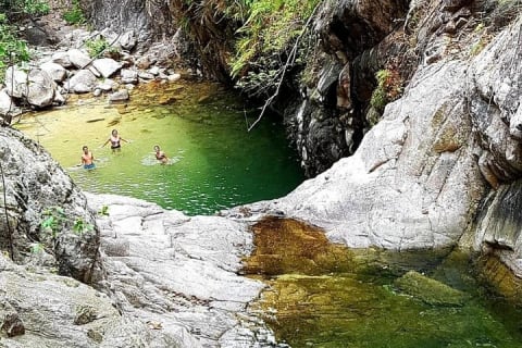 Randonnée de 4 heures dans la jungle et baignade à la cascade avec un expert de la nature — photo 6
