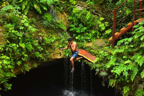 Discover 3 amazing cenotes. Includes transport & snack — photo 2