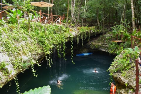 Discover 3 amazing cenotes. Includes transport & snack — photo 1
