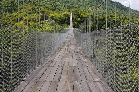 Combo Jorullo Bridge ATV, Zip Line, Mules — photo 3
