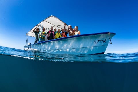 Tour de snorkel con tiburón ballena en grupo pequeño con biólogo marino — photo 4