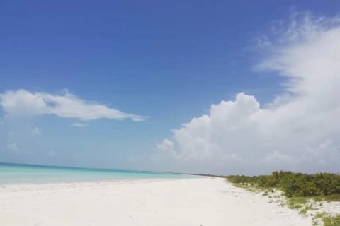 Holbox - Fishing & Snorkeling in Cabo Catoche with drinks & snack — photo 11