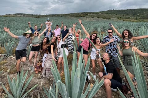 El viaje del mezcal — photo 11