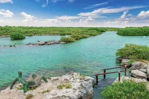 Tulum Yalku Experience — photo 4