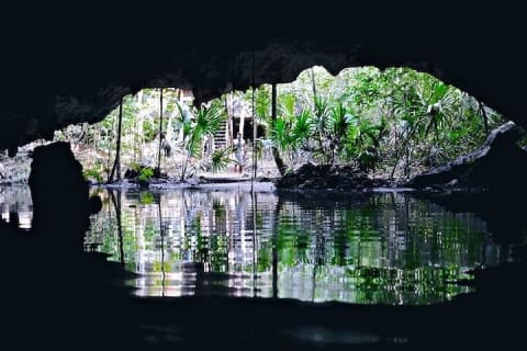 2 Cenotes Guided Snorkeling Adventure in Tulum — photo 6