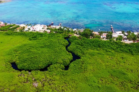 2 Cenotes Guided Snorkeling Adventure in Tulum — photo 4