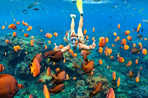 Tulum Day Trip: Pyramids + Reef Snorkel & Cenote Swim — photo 2