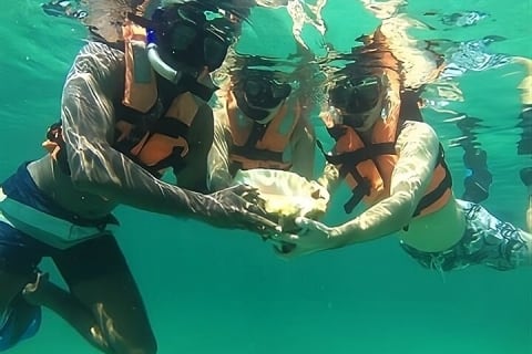 Tulum Day Trip: Pyramids + Reef Snorkel & Cenote Swim — photo 7