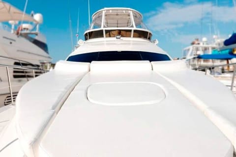 Private Luxury Yacht for up to 12 people — photo 3