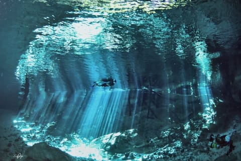 Tulum cenote diving. The ultimate experience in scuba — photo 10
