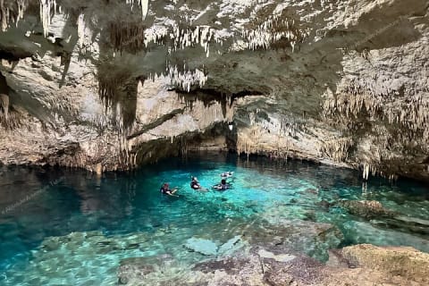 Private Cenote Snorkeling Tour – Tulum’s Hidden Gems — photo 9