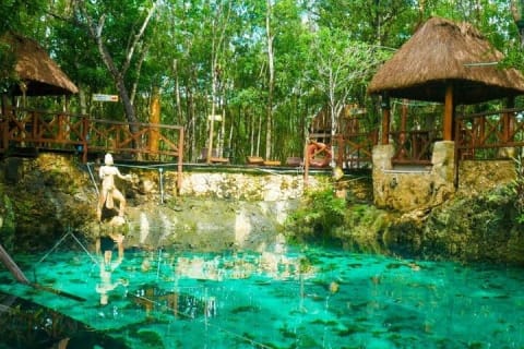 Explore the Mayan Jungle in Tulum. 2 Cenotes, Kaan Luum Lagoon — photo 12