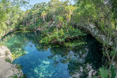 Turtle Snorkeling Private Tour – Sea Turtles & Cenote in Tulum — photo 11