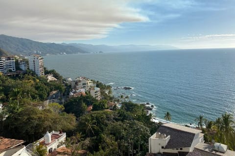 Private Tour of Puerto Vallarta and the Subtropical Forest — photo 6