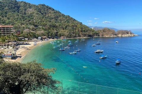 Private Tour of Puerto Vallarta and the Subtropical Forest — photo 1