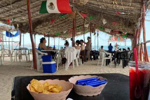 Boat Trip to the Biosphere Reserve in Celestún from Mérida — photo 10