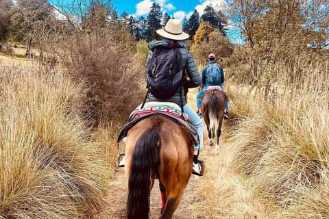 Expérience à cheval, culture et saveurs mexicaines — photo 2