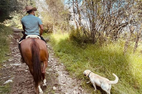 Expérience à cheval, culture et saveurs mexicaines — photo 8