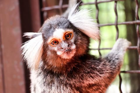 Randonnée au Jardin botanique de Puerto Vallarta — photo 4