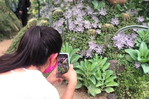 Randonnée au Jardin botanique de Puerto Vallarta — photo 6