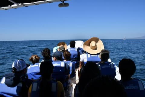 Whale Watching Guaranteed Experience in Puerto Vallarta — photo 7