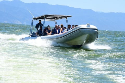 Whale Watching Guaranteed Experience in Puerto Vallarta — photo 9