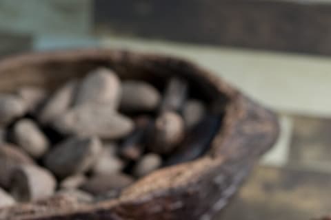 Tour a Uxmal, Cenote Sambula y Museo Choco Story — photo 6