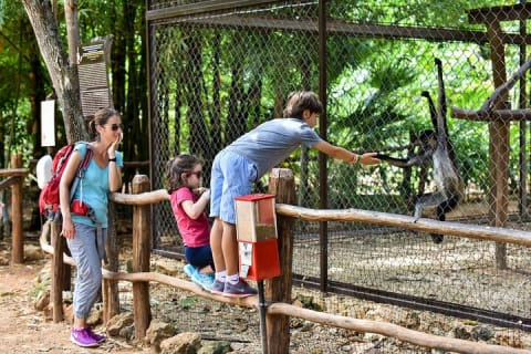 Tour a Uxmal, Cenote Sambula y Museo Choco Story — photo 15