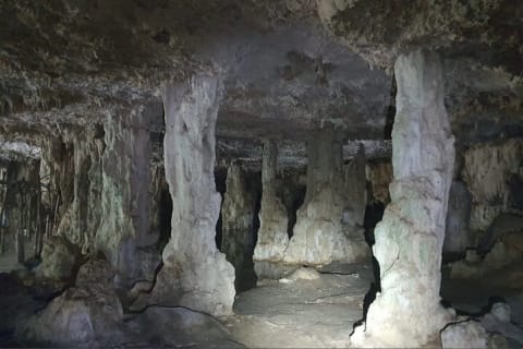 Horse Ride to Cenote Mil Columnas — photo 3