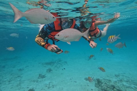 Private Snorkeling with Sea Turtles in Akumal Beach — photo 14