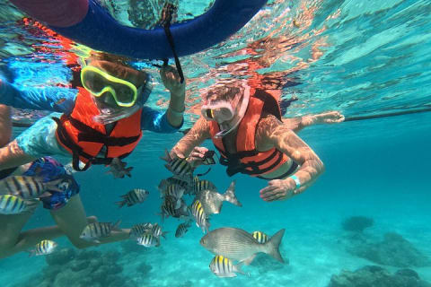 Private Snorkeling with Sea Turtles in Akumal Beach — photo 15