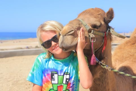 Balade à dos de chameau sur la plage et rencontre avec les chameaux à Cabo — photo 3
