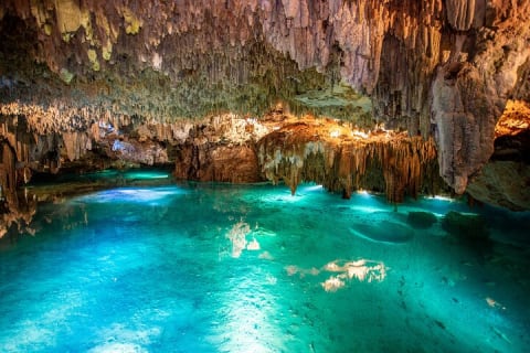 Cenote Turtle and Beach Club Full Day Tour — photo 4