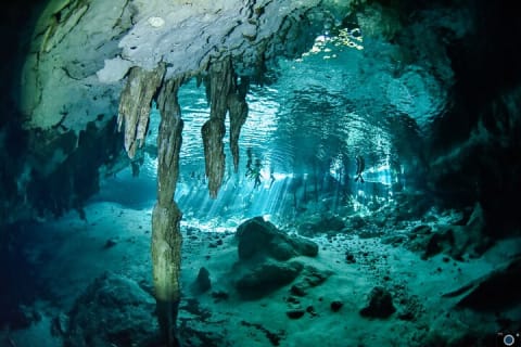 Go for 2 dives in cenote Dos ojos for certified divers — photo 9