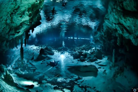 Go for 2 dives in cenote Dos ojos for certified divers — photo 10