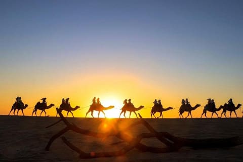 Balade à dos de chameau sur la plage et rencontre avec les chameaux à Cabo — photo 9