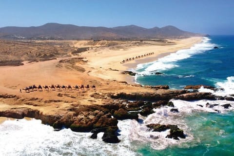 Balade à dos de chameau sur la plage et rencontre avec les chameaux à Cabo — photo 12