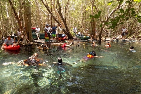 Expedición a los manglares y la playa de Sisal desde Mérida — photo 13