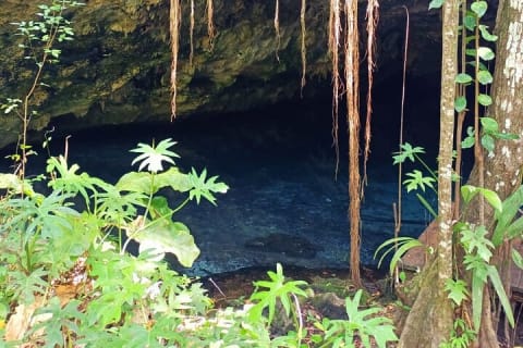 Akumal paradise tour Swimming with Turtles & ancient Tulum Ruins. Lunch included — photo 8
