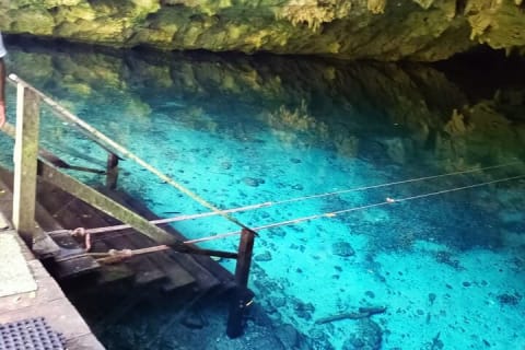 Akumal paradise tour Swimming with Turtles & ancient Tulum Ruins. Lunch included — photo 9