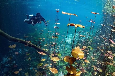 Tulum Ruins Tour + Cenote Swim & Lunch from Riviera Maya — photo 10