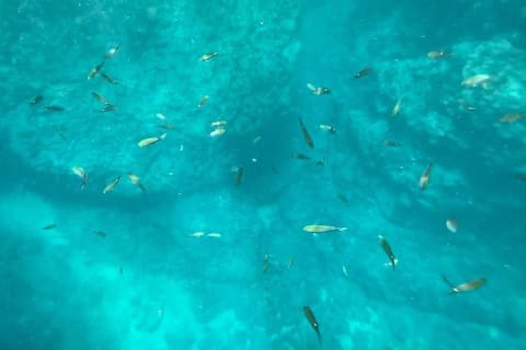 Plage cachée garantie • Privé : jusqu'à 4 pers. • Punta Mita — photo 6