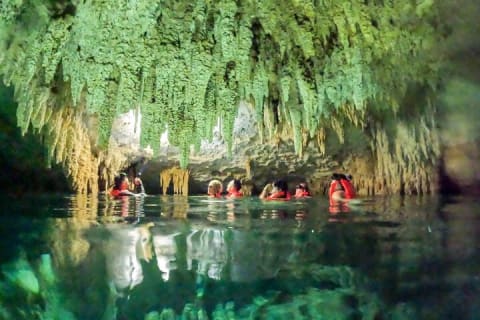 Half Day Shared Tour in Cenote Cave and Swimming with Turtles — photo 9
