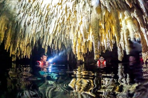 Half Day Shared Tour in Cenote Cave and Swimming with Turtles — photo 12