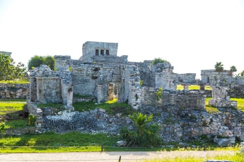 Tulum Ruins, Cenote Cave and Swimming with Turtles From Tulum — photo 6
