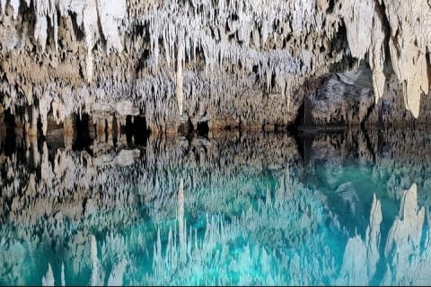 Private Half Day Swim with Turtles and Cenote — photo 5