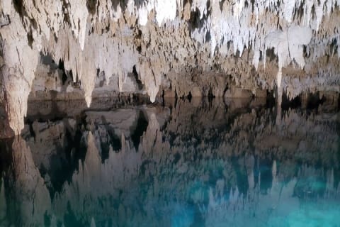 Private Half Day Swim with Turtles and Cenote — photo 6