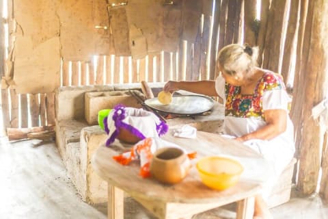 Half a Day Tour to Coba Ruins with Cenote and Mayan Village — photo 8